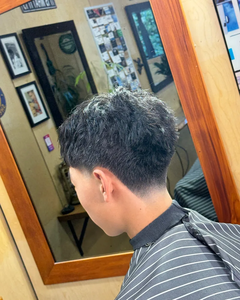 Back view of a dark textured crop tapered low around the ears and neck